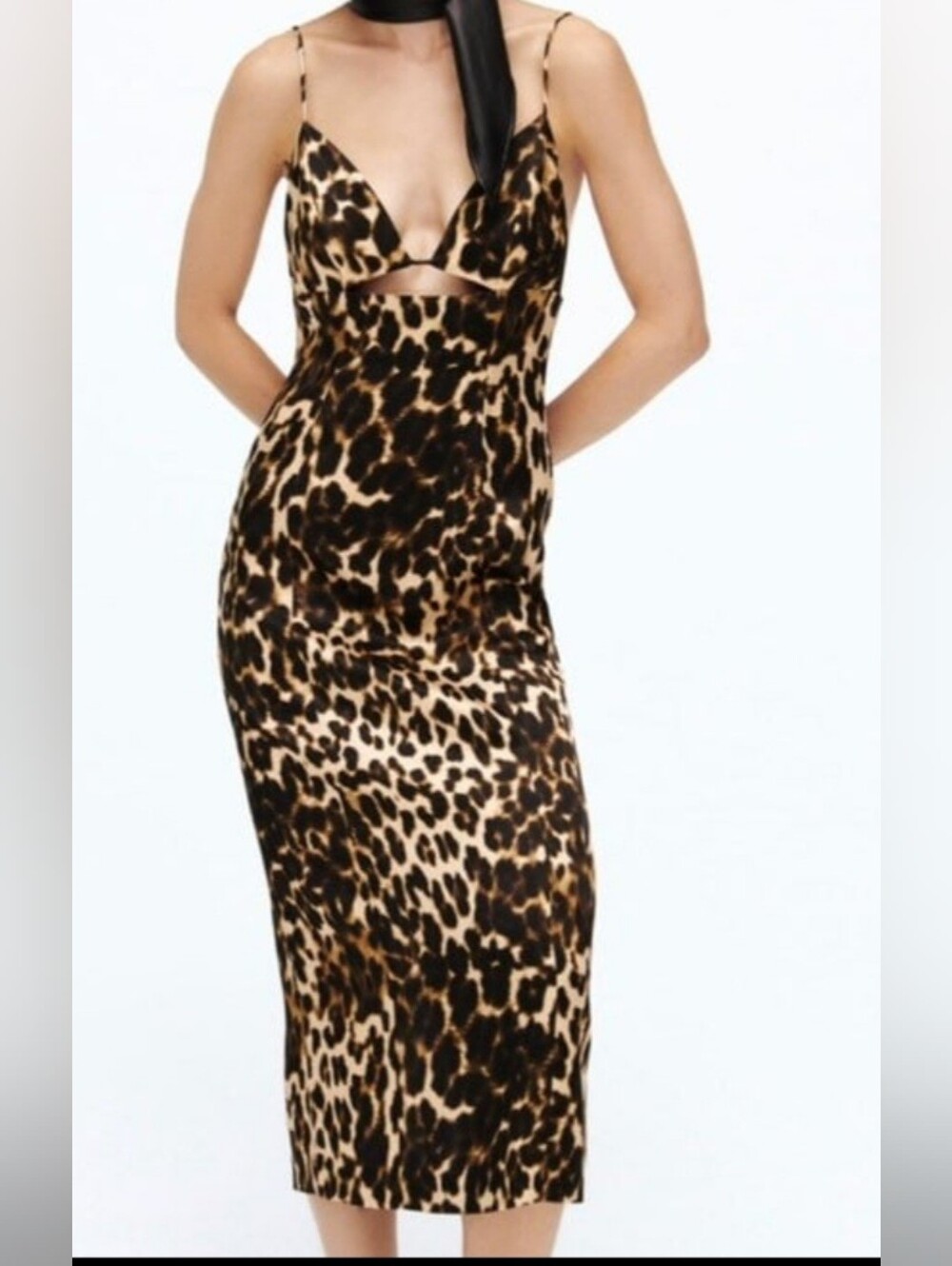Zara Leopard-Print Dress in Brown and Black Size S
